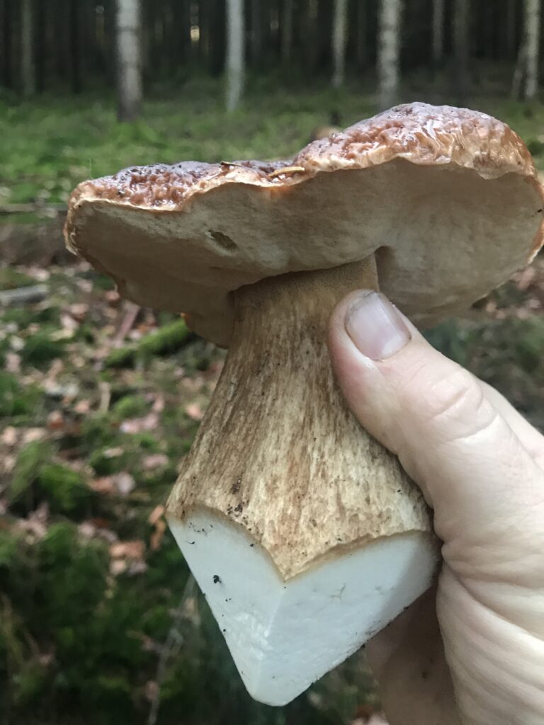 CEP
