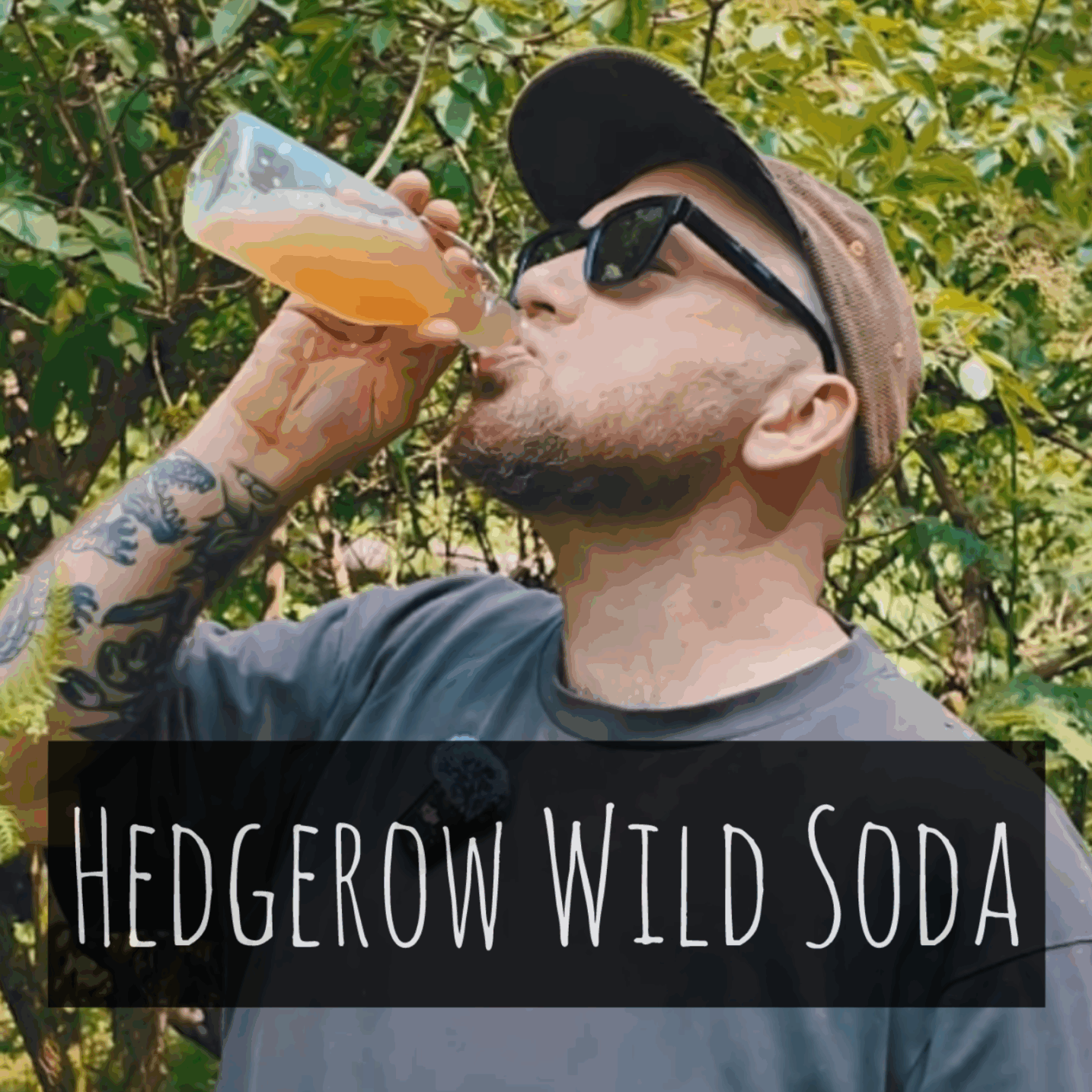 HEDGEROW NATURAL SODA