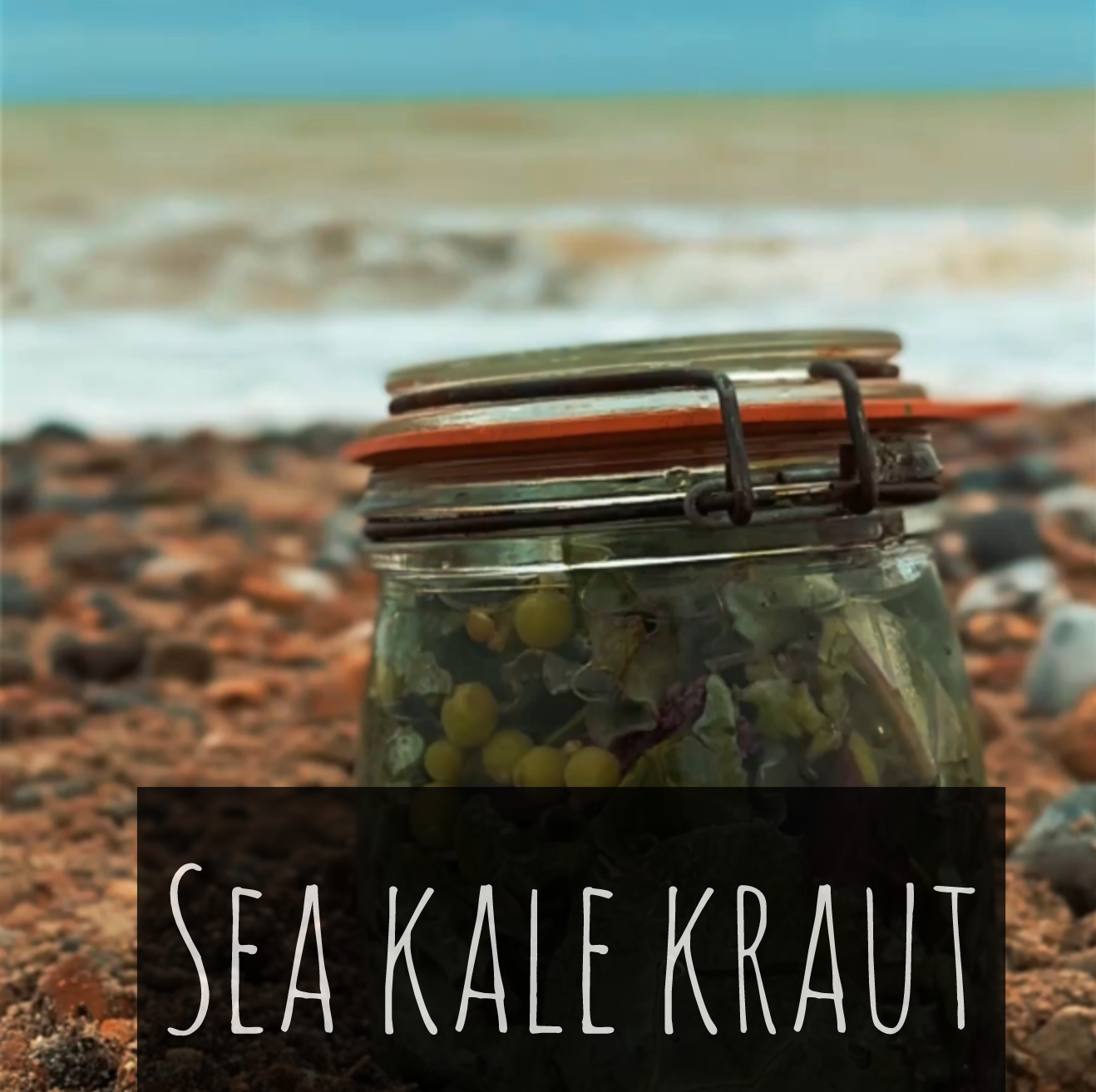 SEA KALE KRAUT (Crambe Maritima)