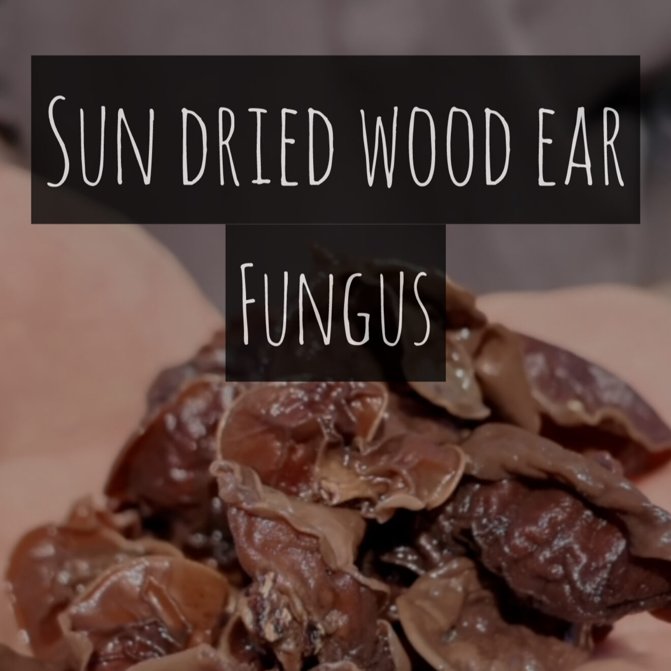 Sun-Dried Wood Ear Fungus (Auricularia auricula-judae)