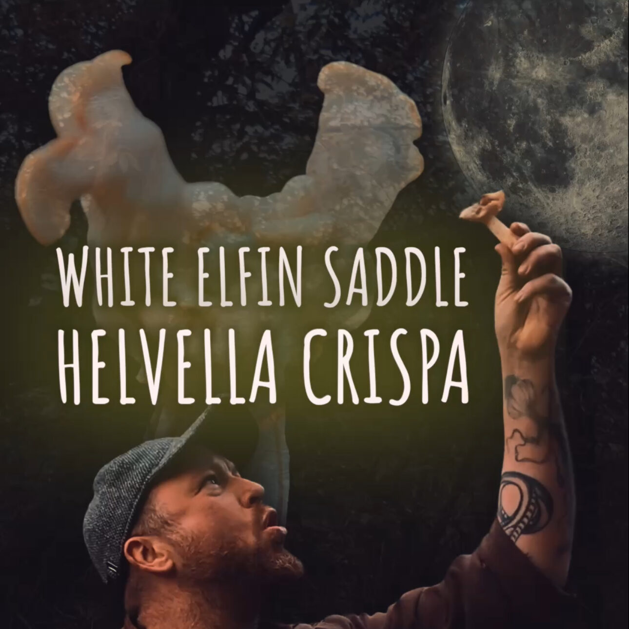 SPOOKY ALBINO WEREWOLF MUSHROOM