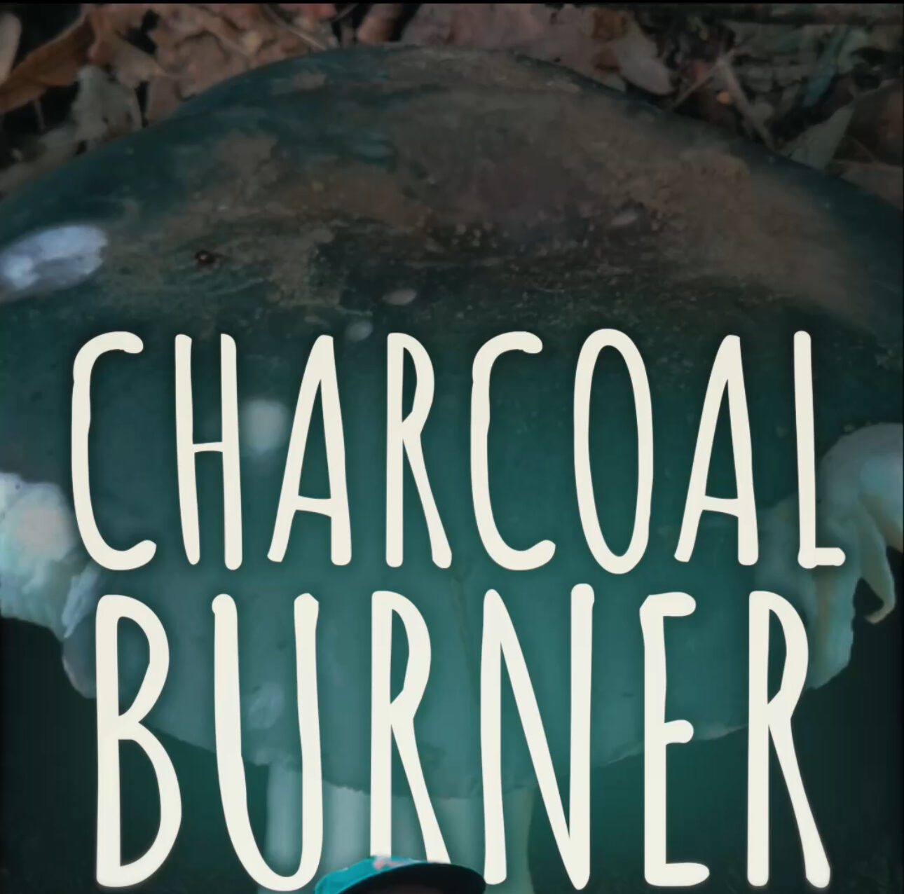 Charcoal Burner (Russula cyanoxantha)