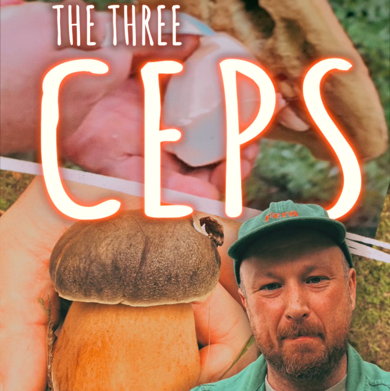 The 3 CEPs